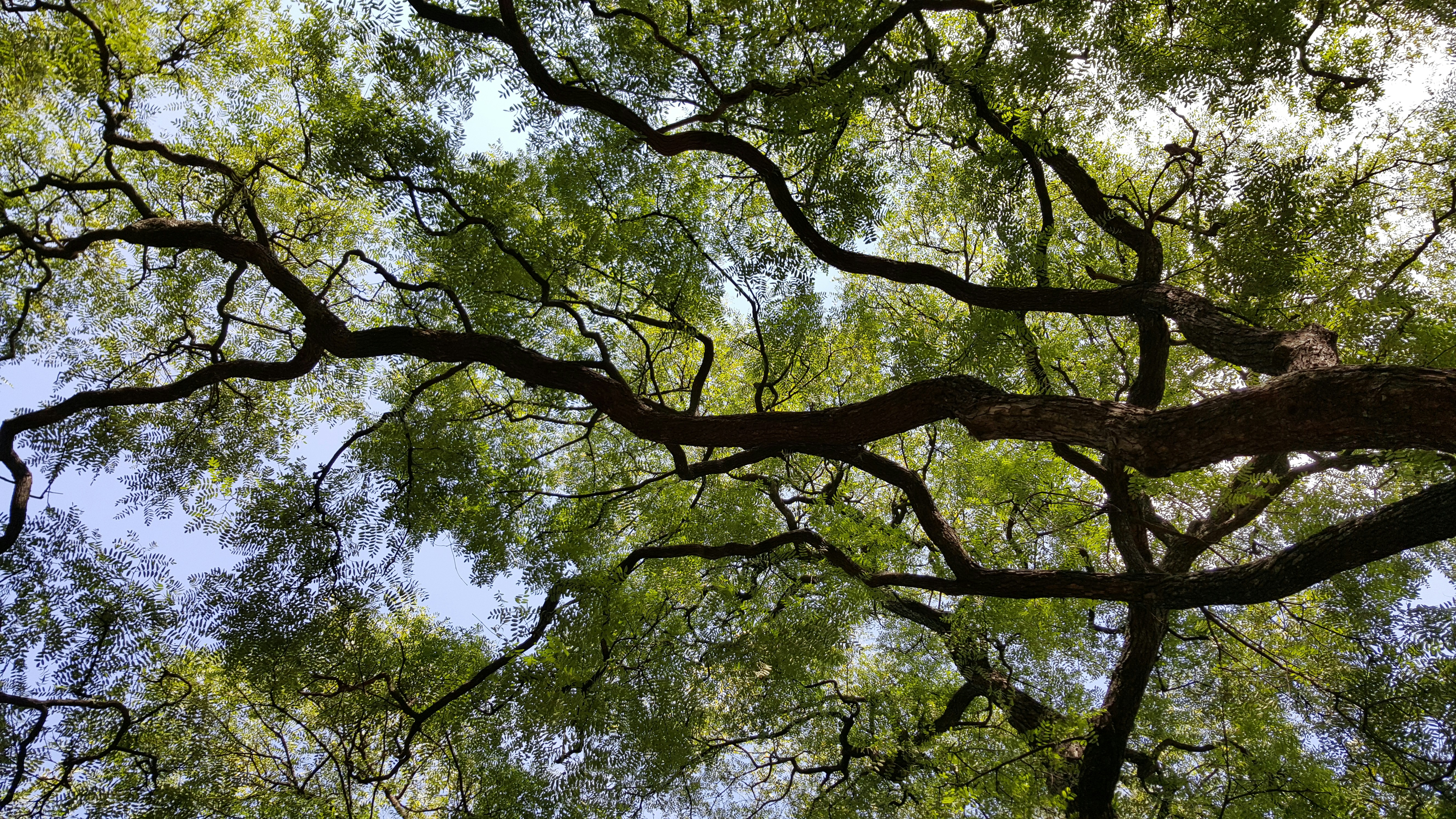 Free Unsplash photo from Gustavo Rendano