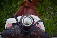 A close-up view of a western-style saddle pommel with intricate embroidery and a silver decorative concho, placed on a brown horse. The saddle has a sheepskin lining and leather straps. The background shows green grass, indicating an outdoor setting.