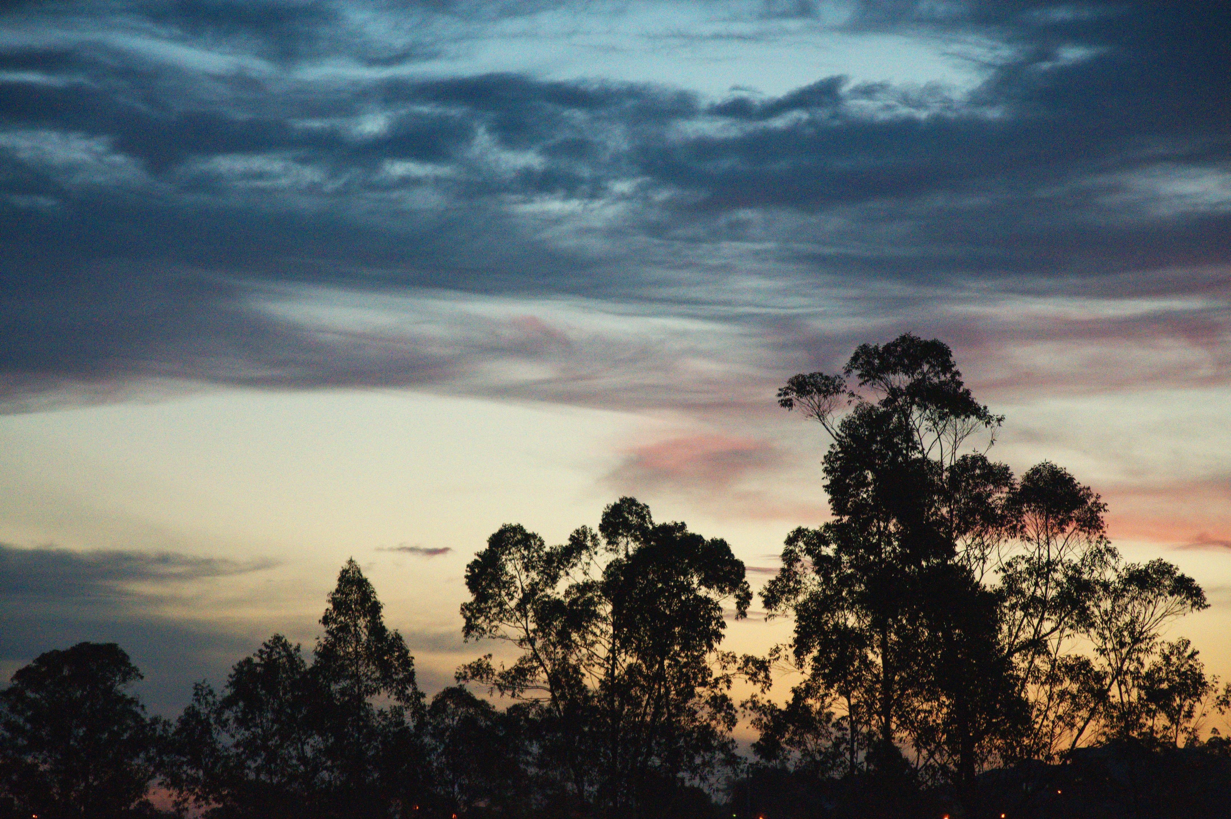 Free Unsplash photo from Maurício Fernandes