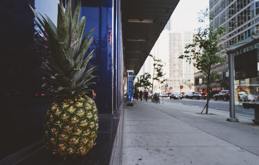 pineapple on window