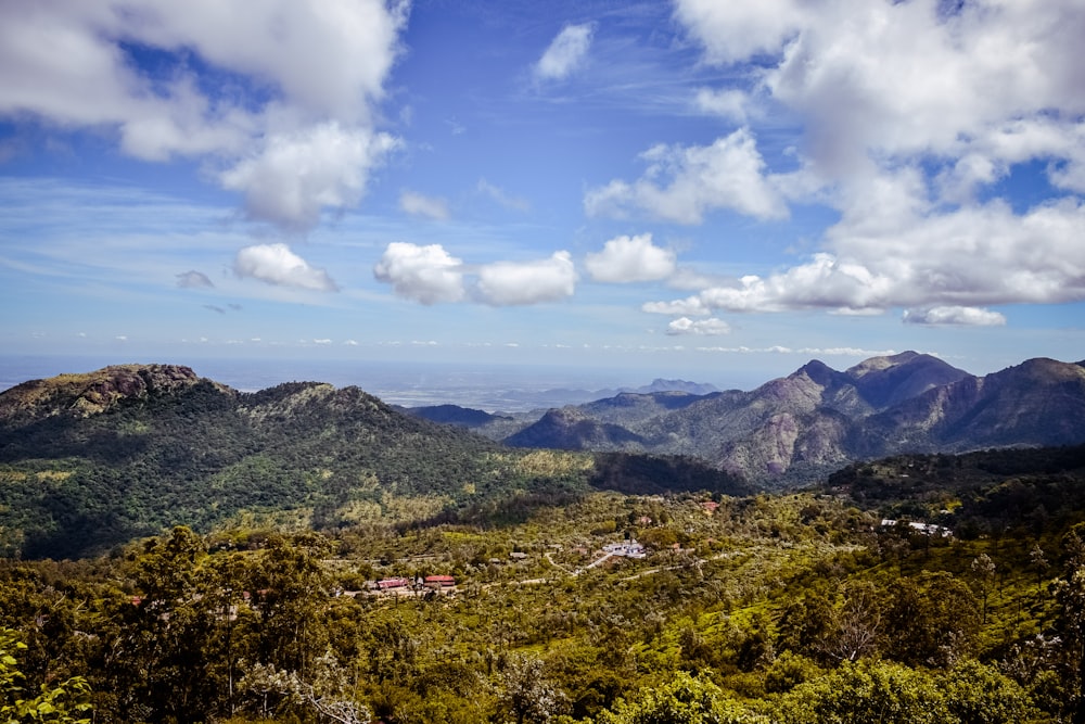 green trees with mountains during daytime photography