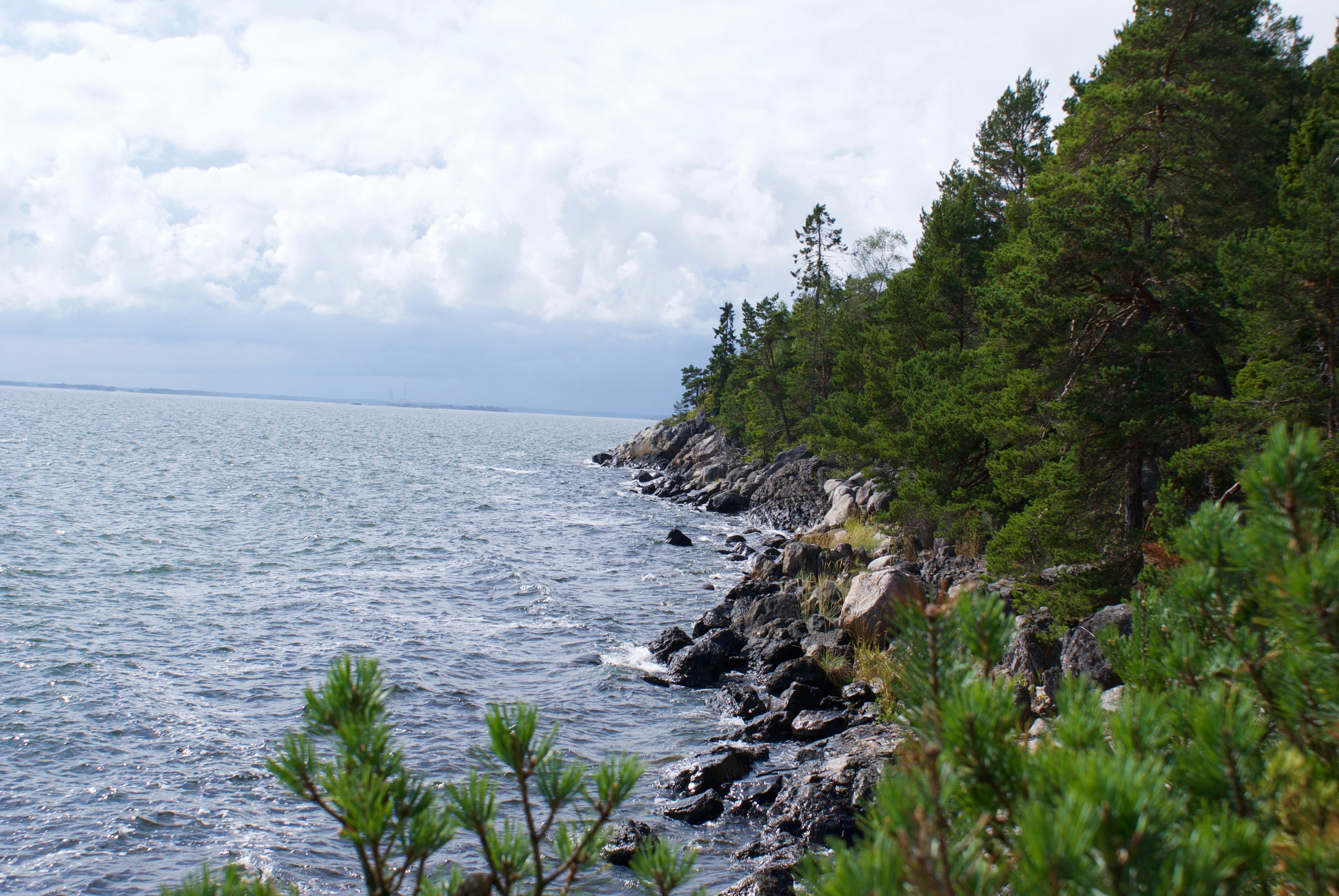 Free Unsplash photo from Jonas Rottmann