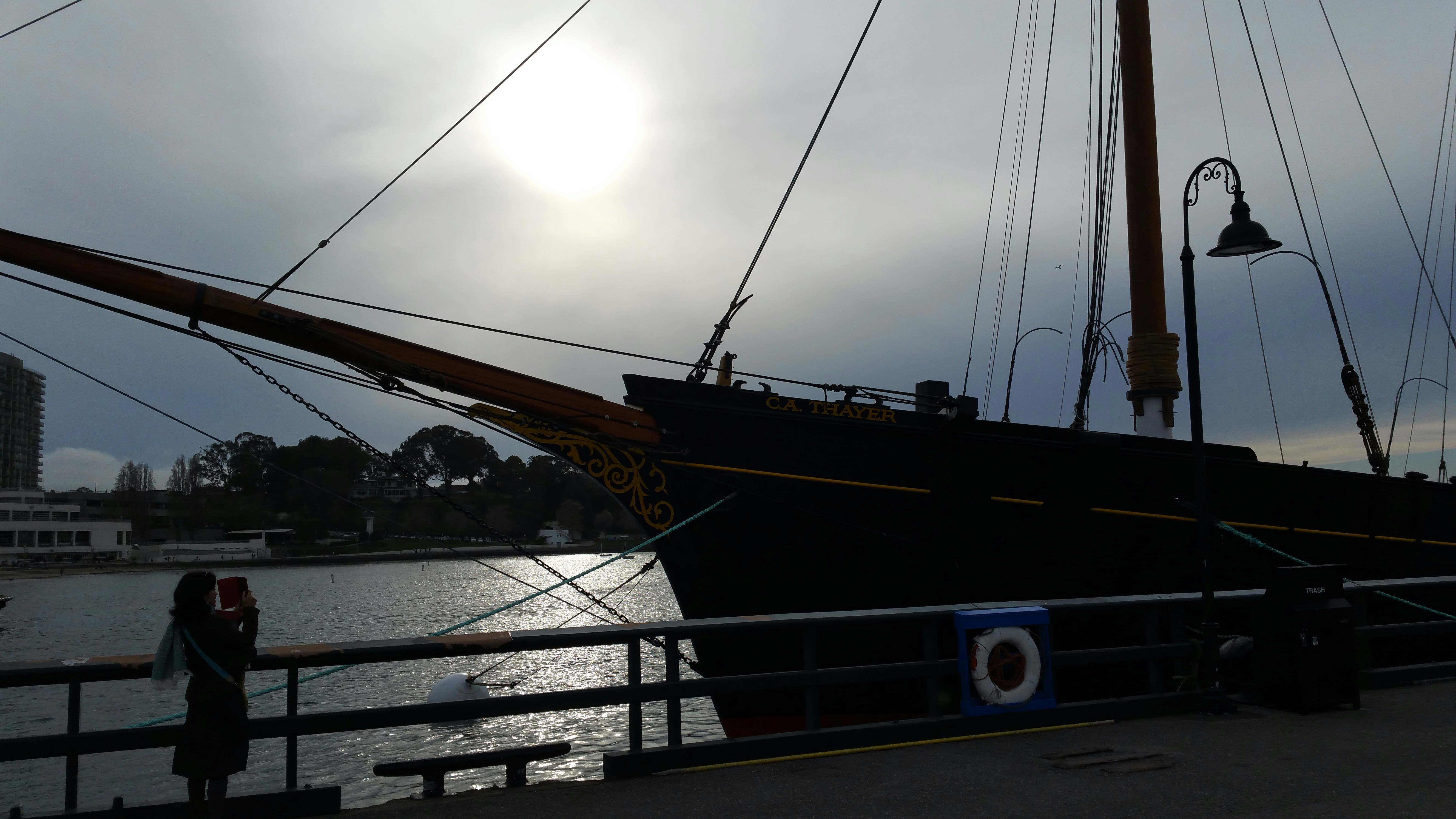 Free Unsplash photo from Phelecia Curtis