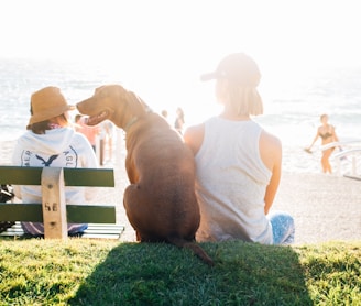 short-coated brown dog sit beside person wearing white tank top near beach during daytime