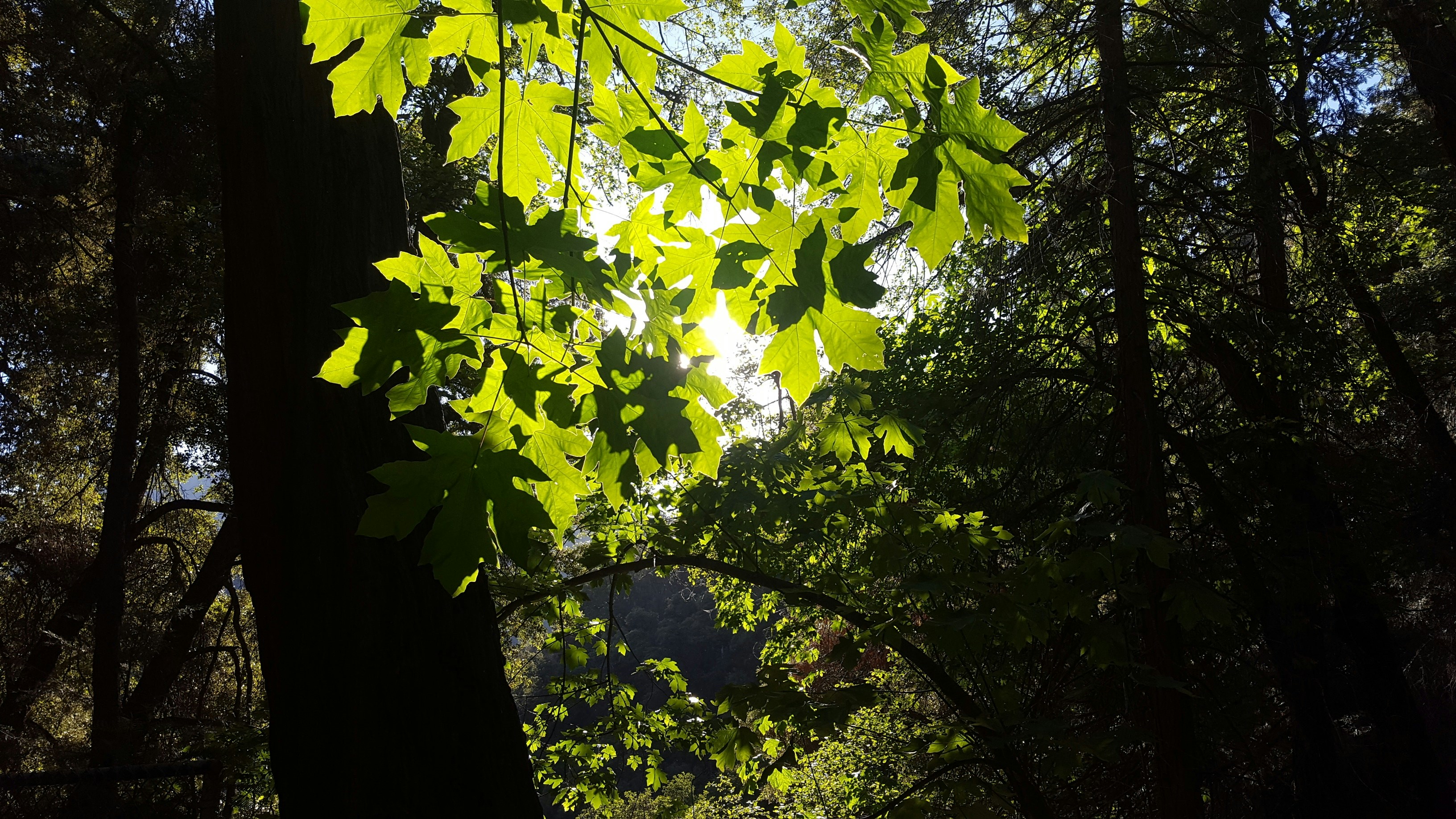 Free Unsplash photo from Jonah Pereyda