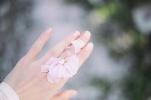 A close-up of delicate hands holding dried flowers against a light pink background.