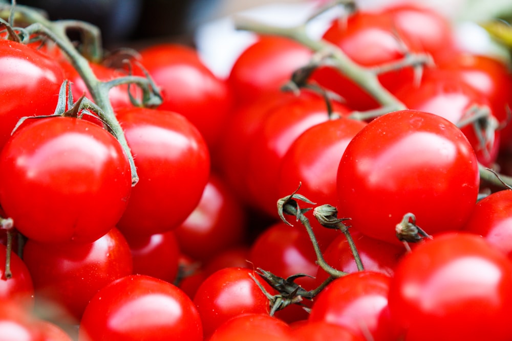 closeup photo of red tomatoes