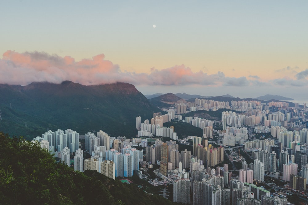 Horizonte de la ciudad blanca cerca de árboles de hojas verdes bajo cielo azul y blanco