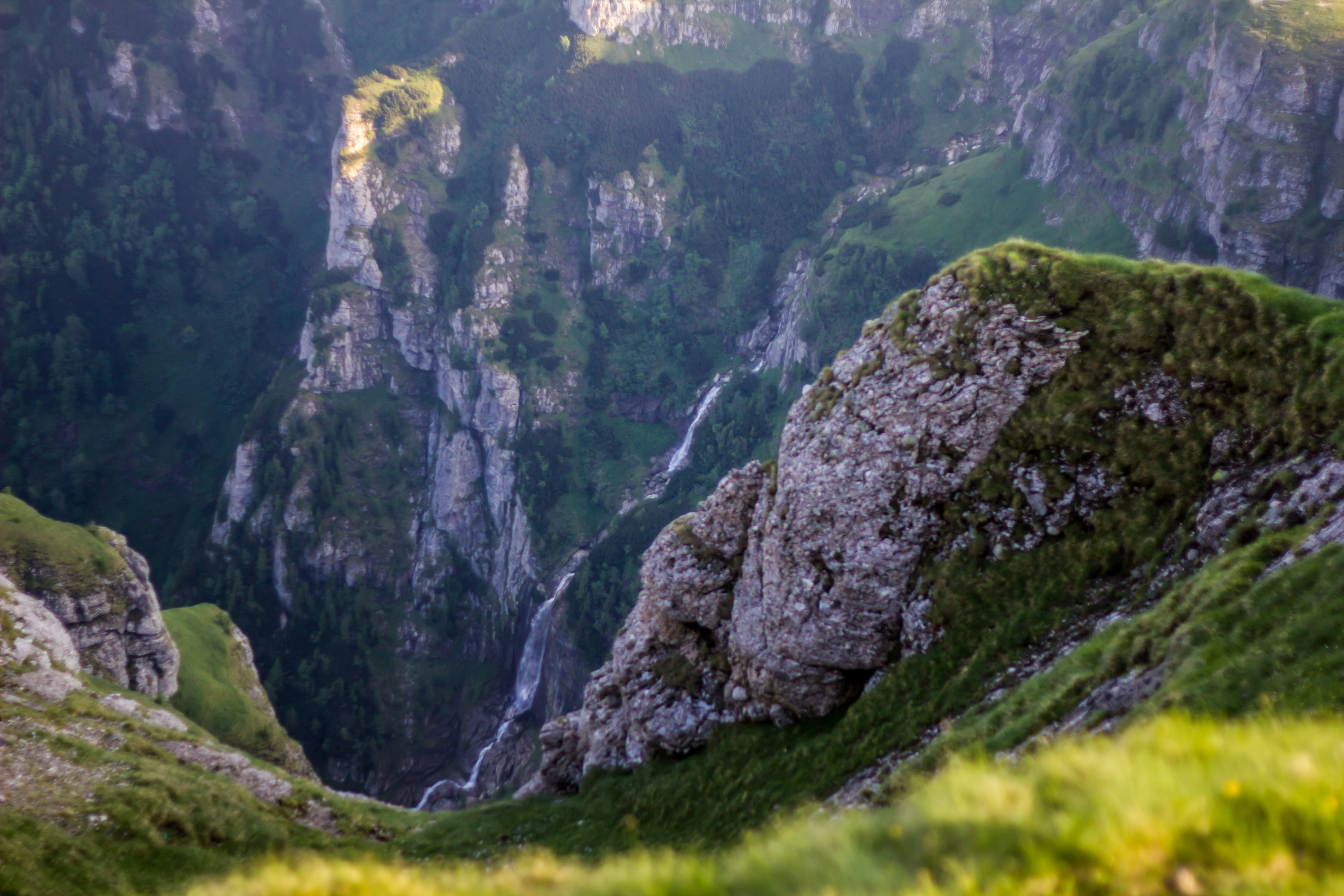 Free Unsplash photo from Voicu Horațiu