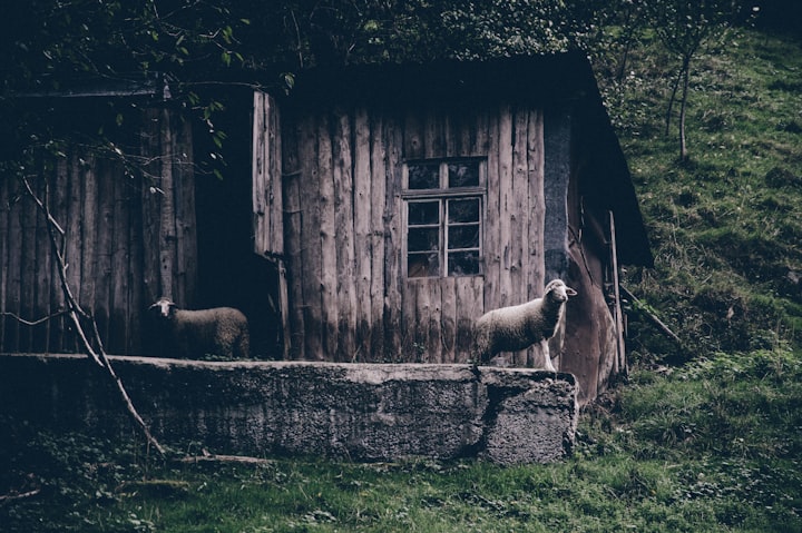 The Abandoned Cabin