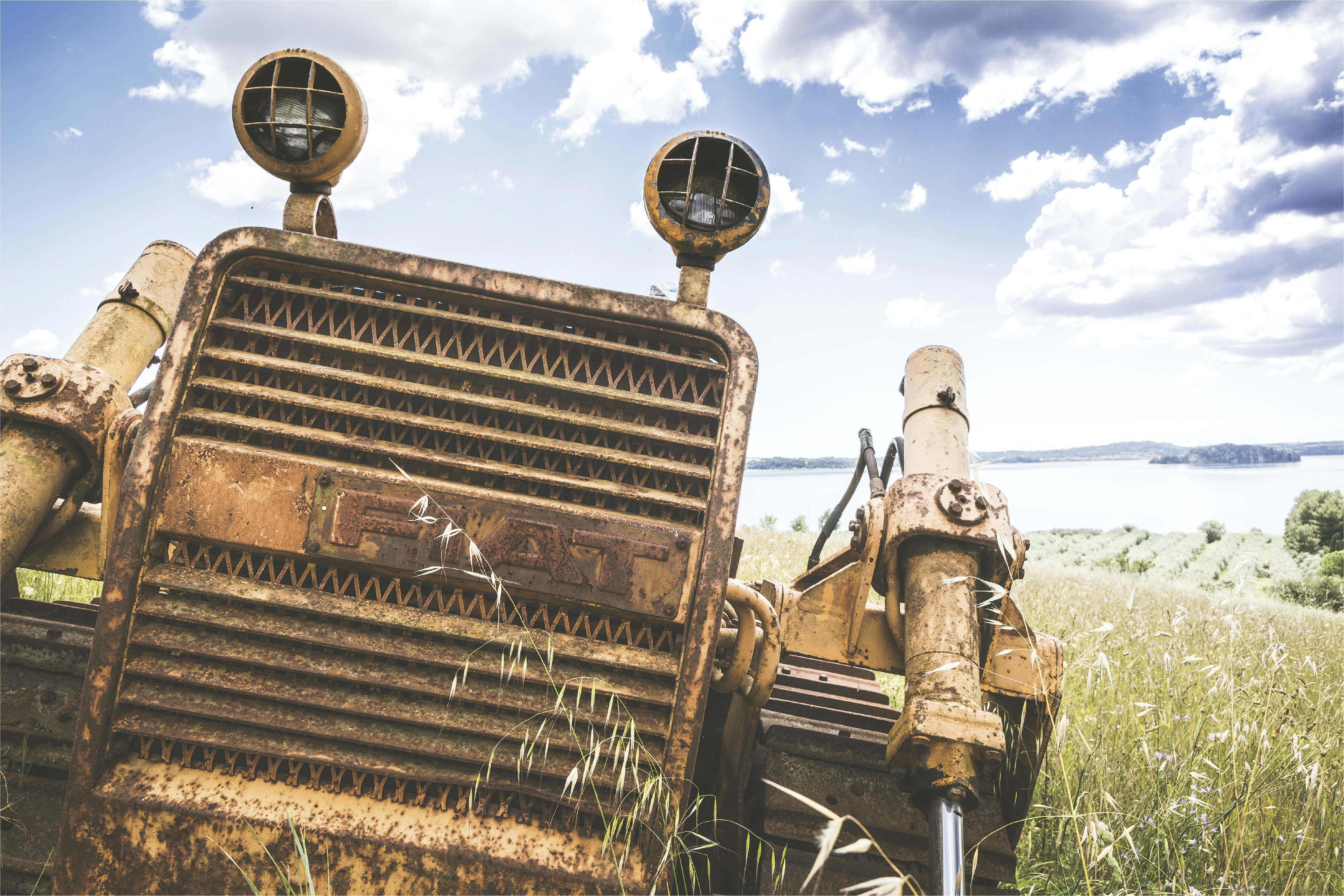 Free Unsplash photo from Morgana Bartolomei