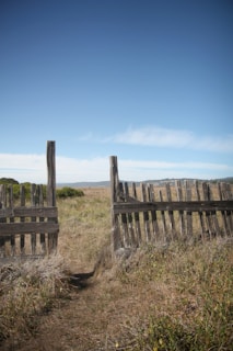 Photo of a team repairing a farmhouse fence under a clear blue sky