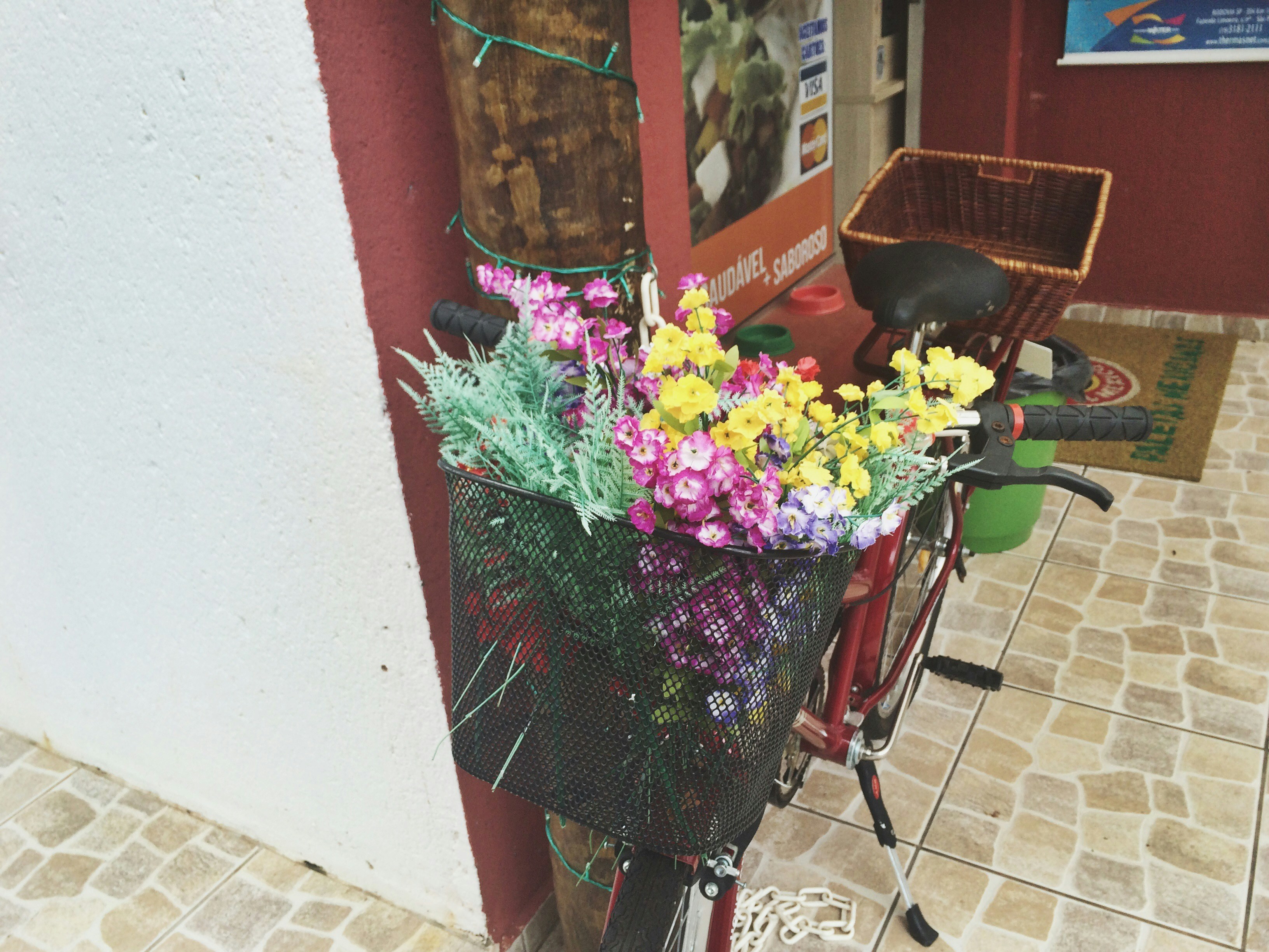 Free Unsplash photo from Bruna Ferracini