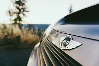 A close-up view of the front of a car with the MINI logo prominently displayed. The background features blurred natural scenery with trees and a hillside, suggesting an outdoor setting.