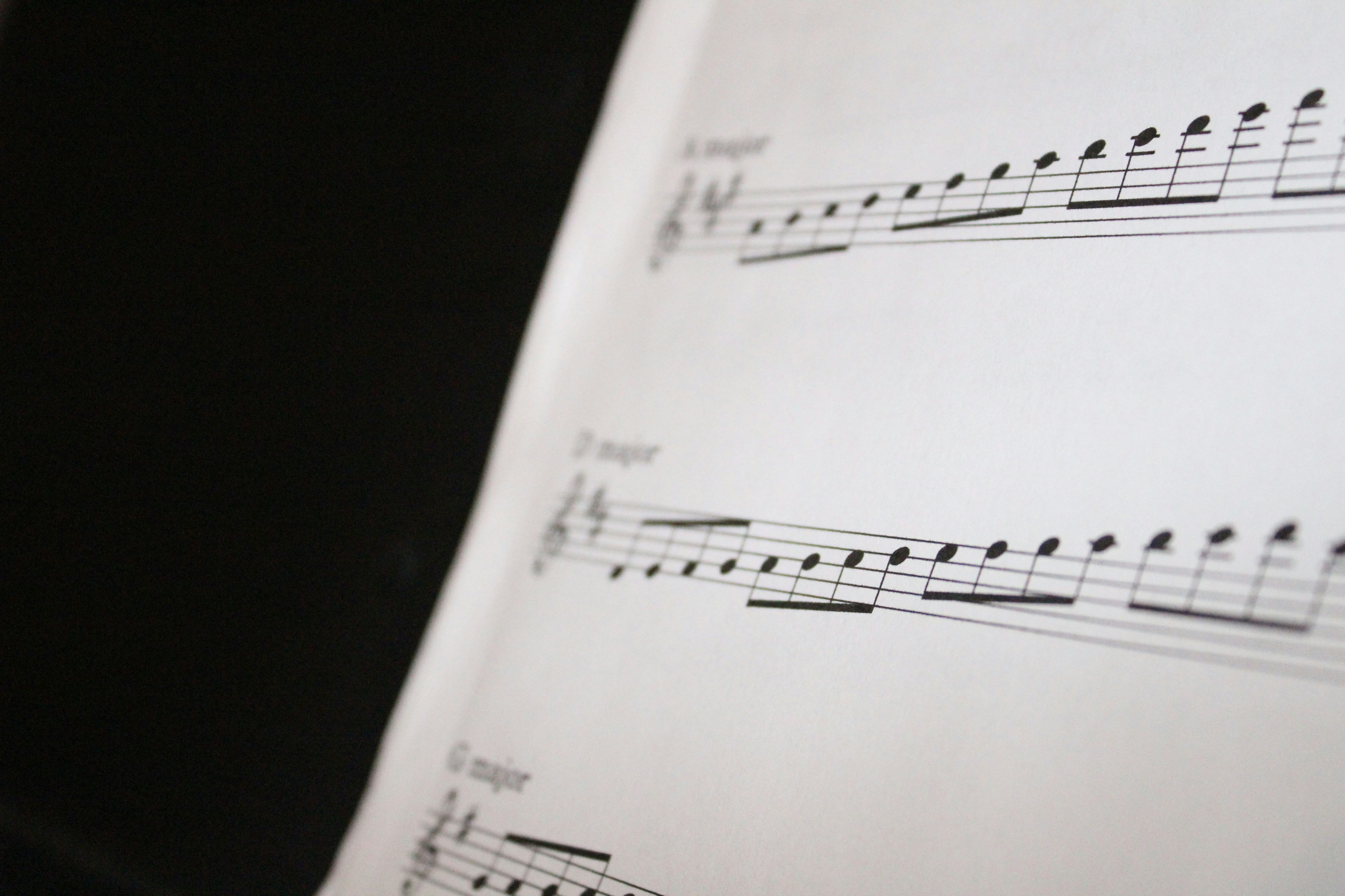 Free Unsplash photo from Gretchen