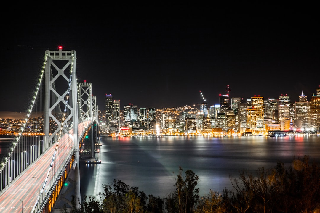 bridge beside city