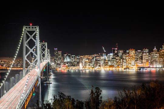 bridge beside city in Blue Park United States