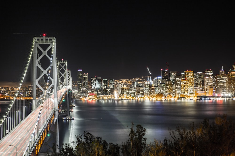 bridge beside city