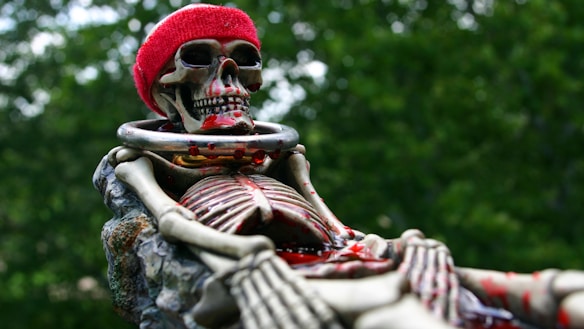 A skeleton is adorned with a red hat and a metallic collar, sitting against a background of blurred greenery. The skeleton appears detailed, with visible bones and red paint accentuating certain areas. The scene conveys a mix of eeriness and whimsy.