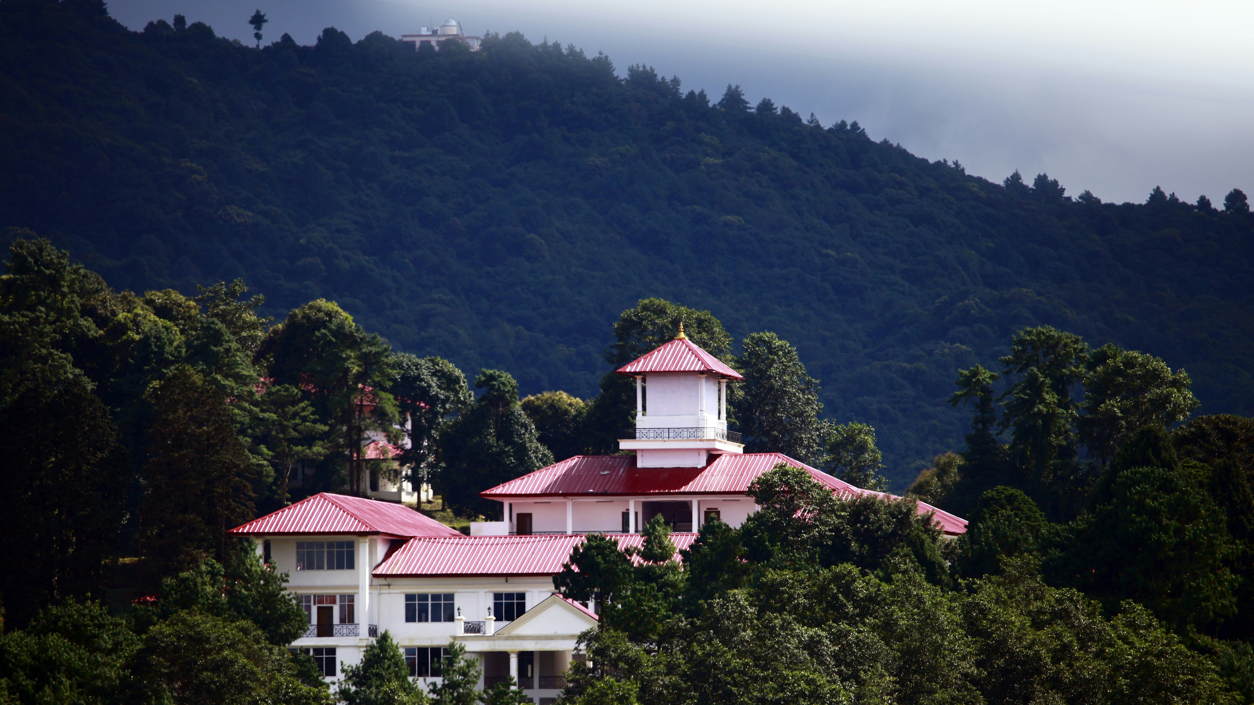 Free Unsplash photo from Ashes Sitoula