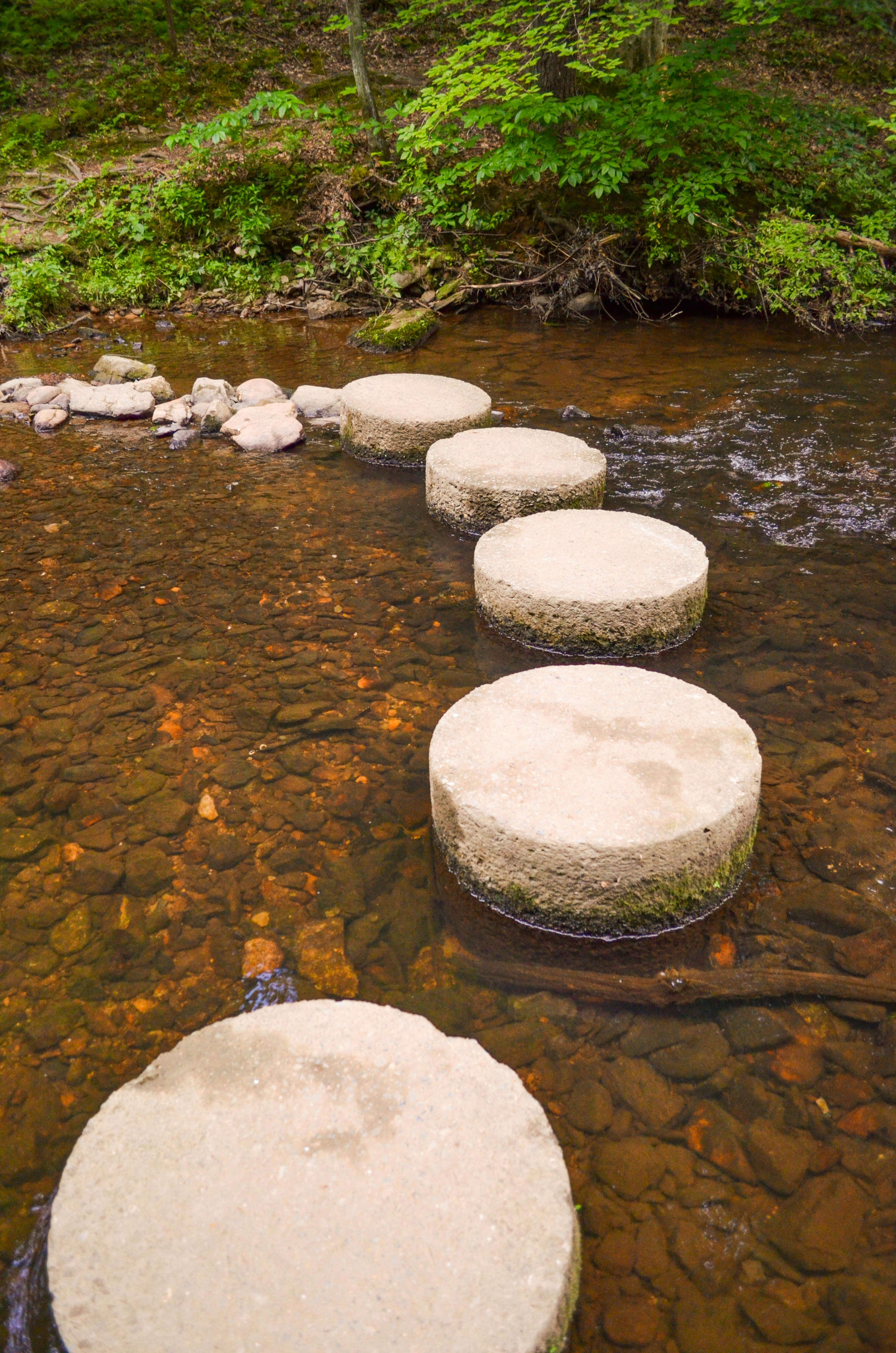 Free Unsplash photo from Katie Harvey