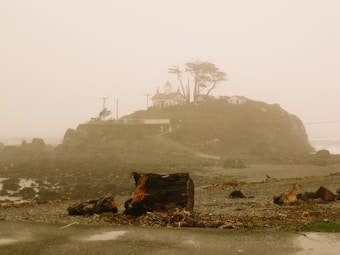 A foggy coastal scene featuring a rocky island with a lighthouse and several buildings surrounded by a barren landscape. Large logs and debris are scattered across a rocky beach in the foreground, while sparse trees rise above the structures on the island. The atmosphere is misty and muted by the overcast sky.
