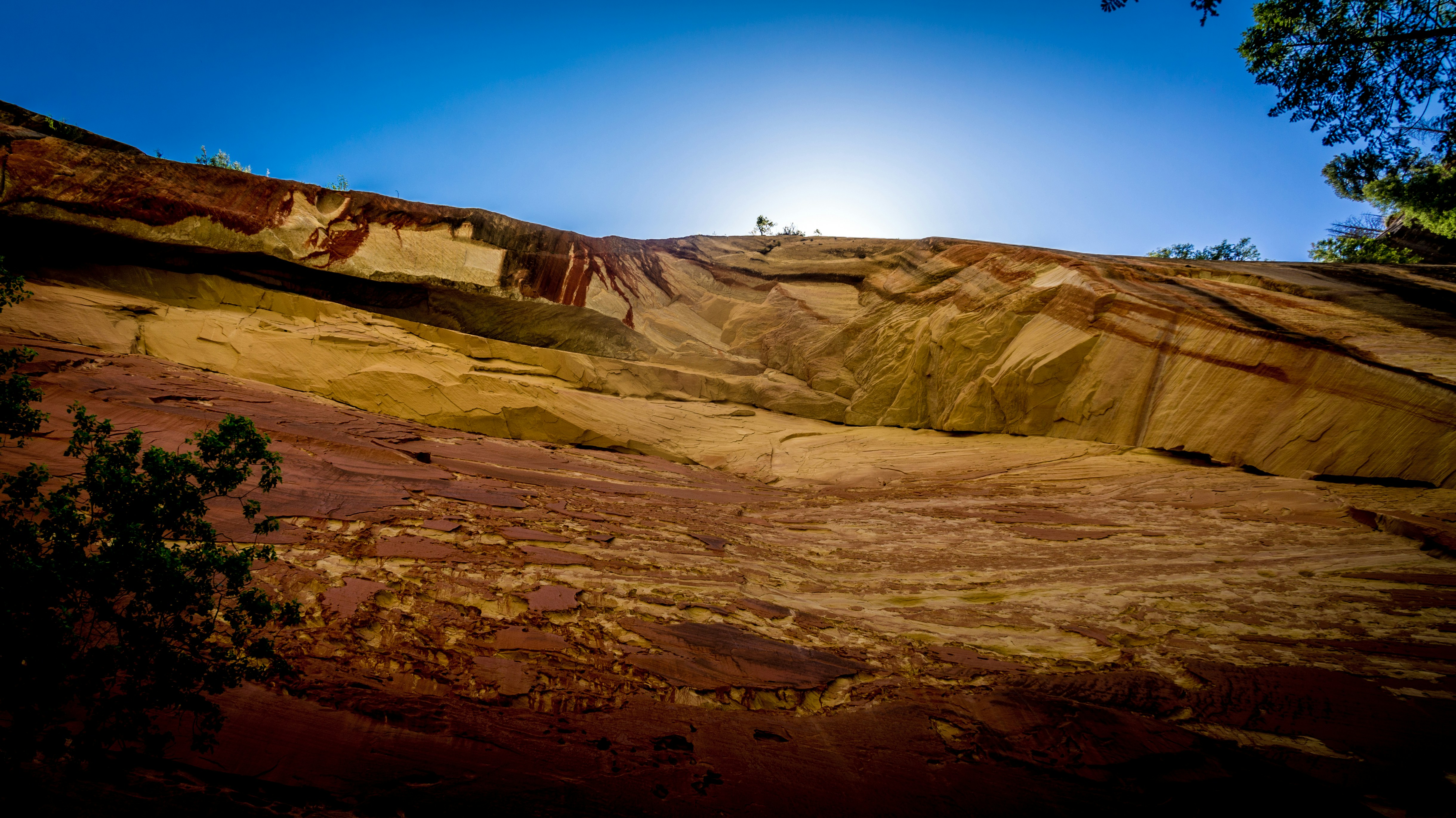 Free Unsplash photo from Christopher Johnson