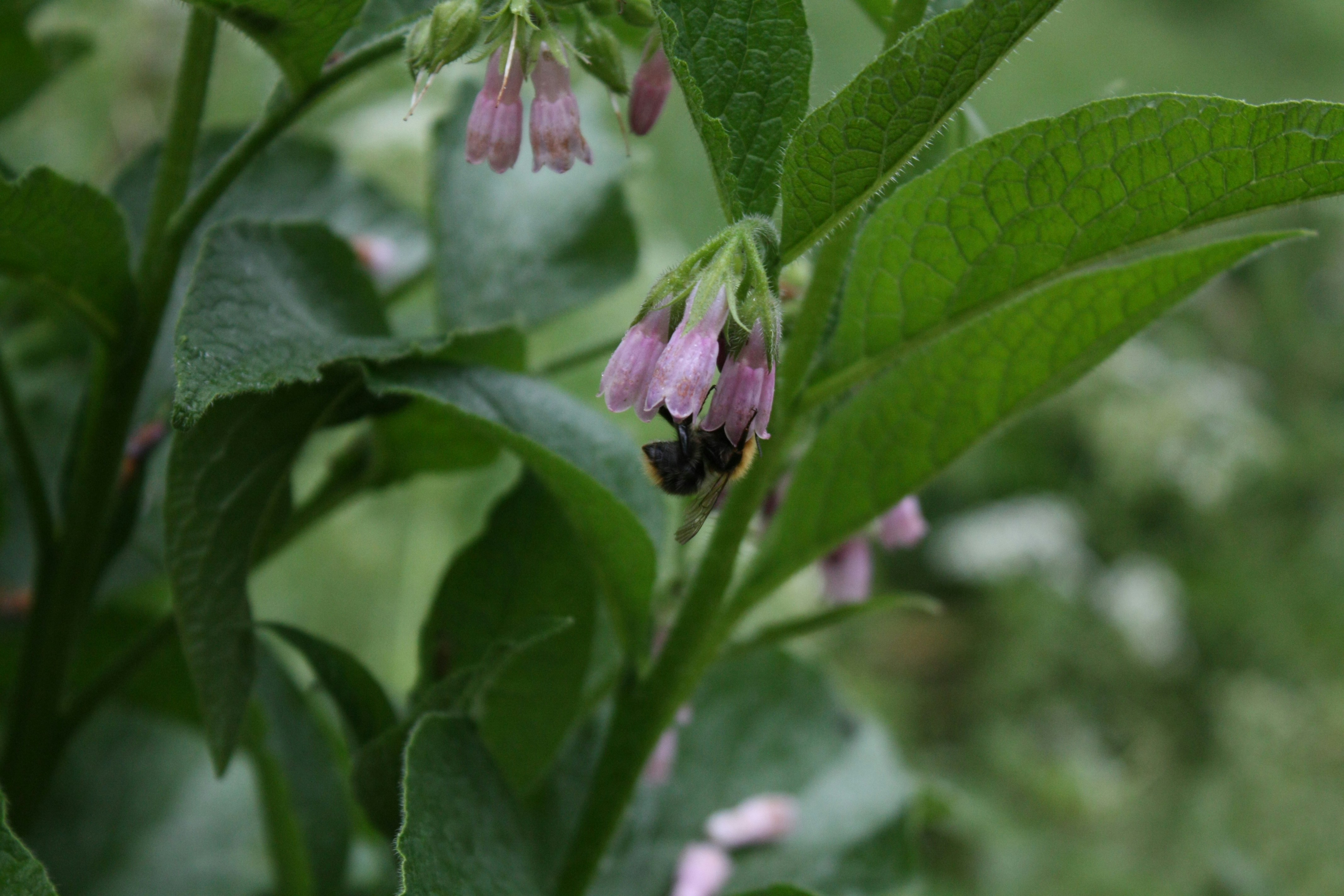 Free Unsplash photo from Eliovu