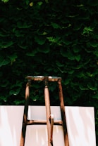 A rusty metal ladder is positioned upright against a lush green background of dense foliage. The leaves vary in shades of green, creating a rich, textured backdrop. The lower part of the ladder rests on a flat, white surface, providing a stark contrast to the natural scenery behind.
