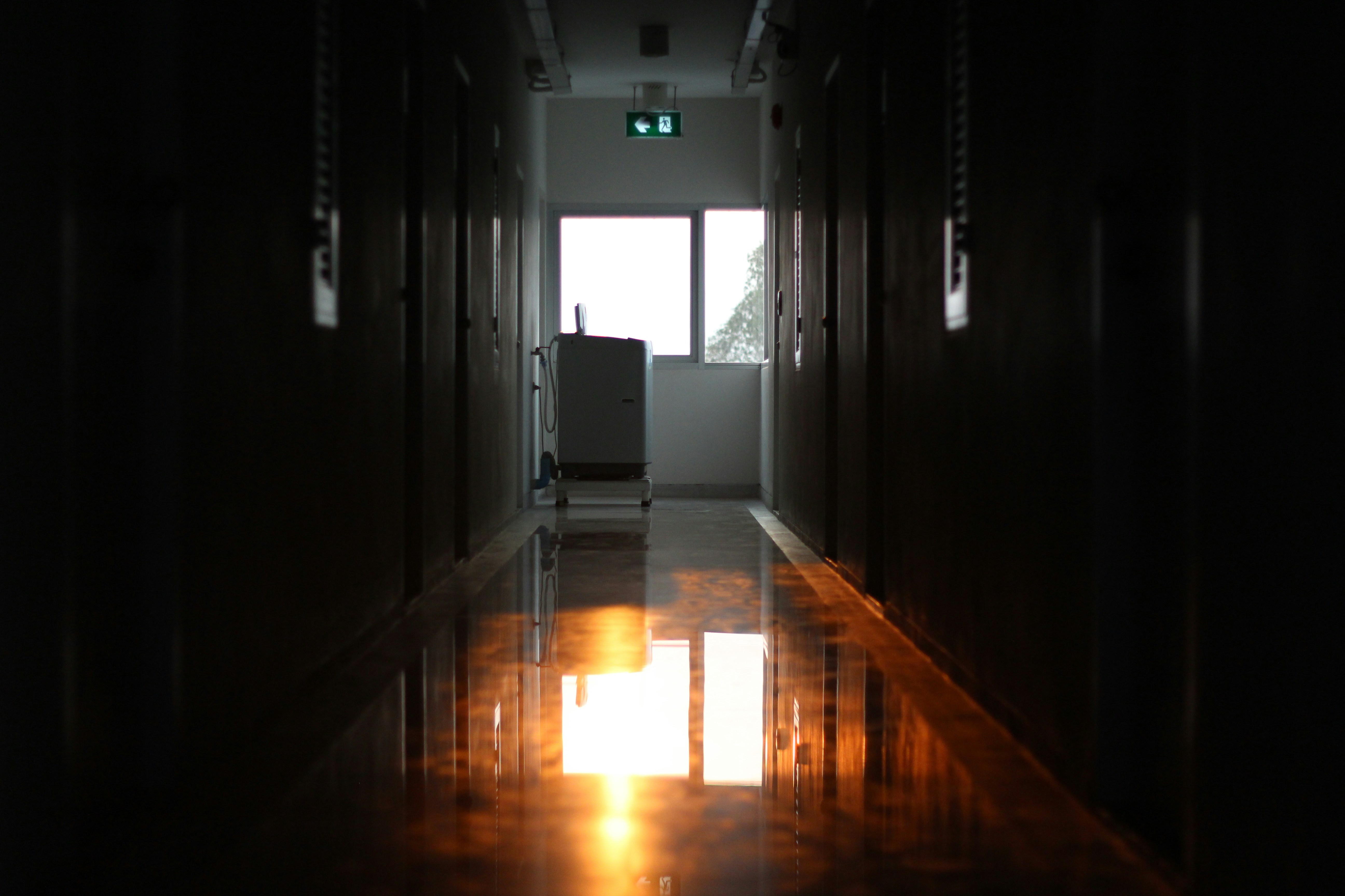 Free Unsplash photo from Visarut Leelasatjarana