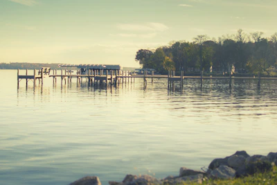 A serene lakeside view with reflections of surrounding trees and a wooden dock.