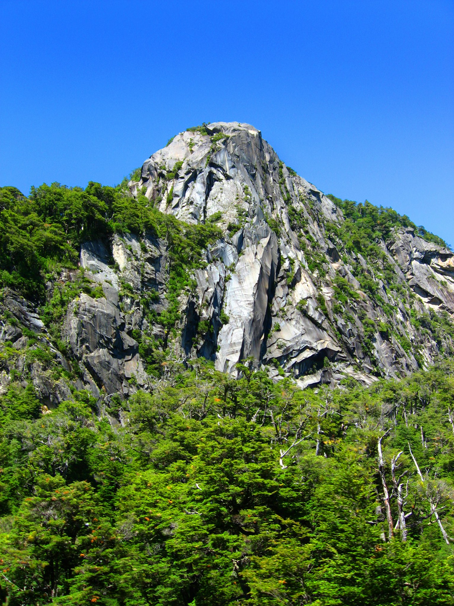 Free Unsplash photo from Marcelo Hernán Arre Márfull