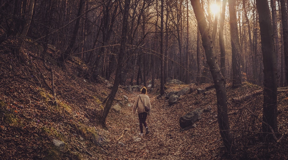 Una donna che cammina in una foresta nel pomeriggio