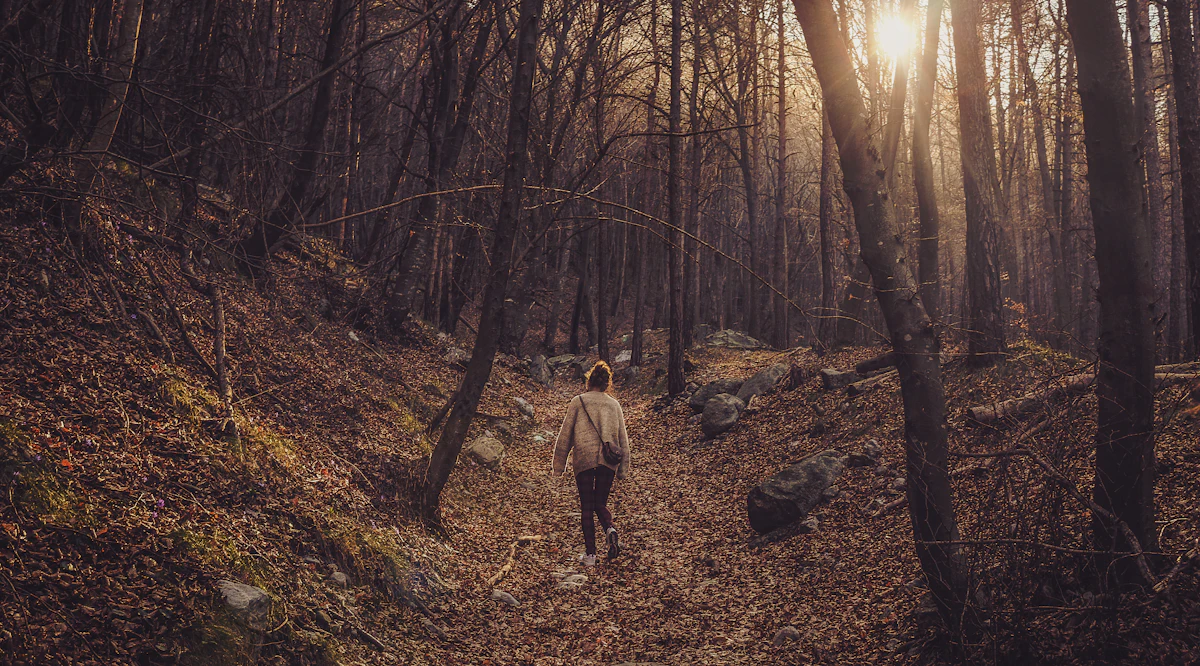Femme qui marche en forêt