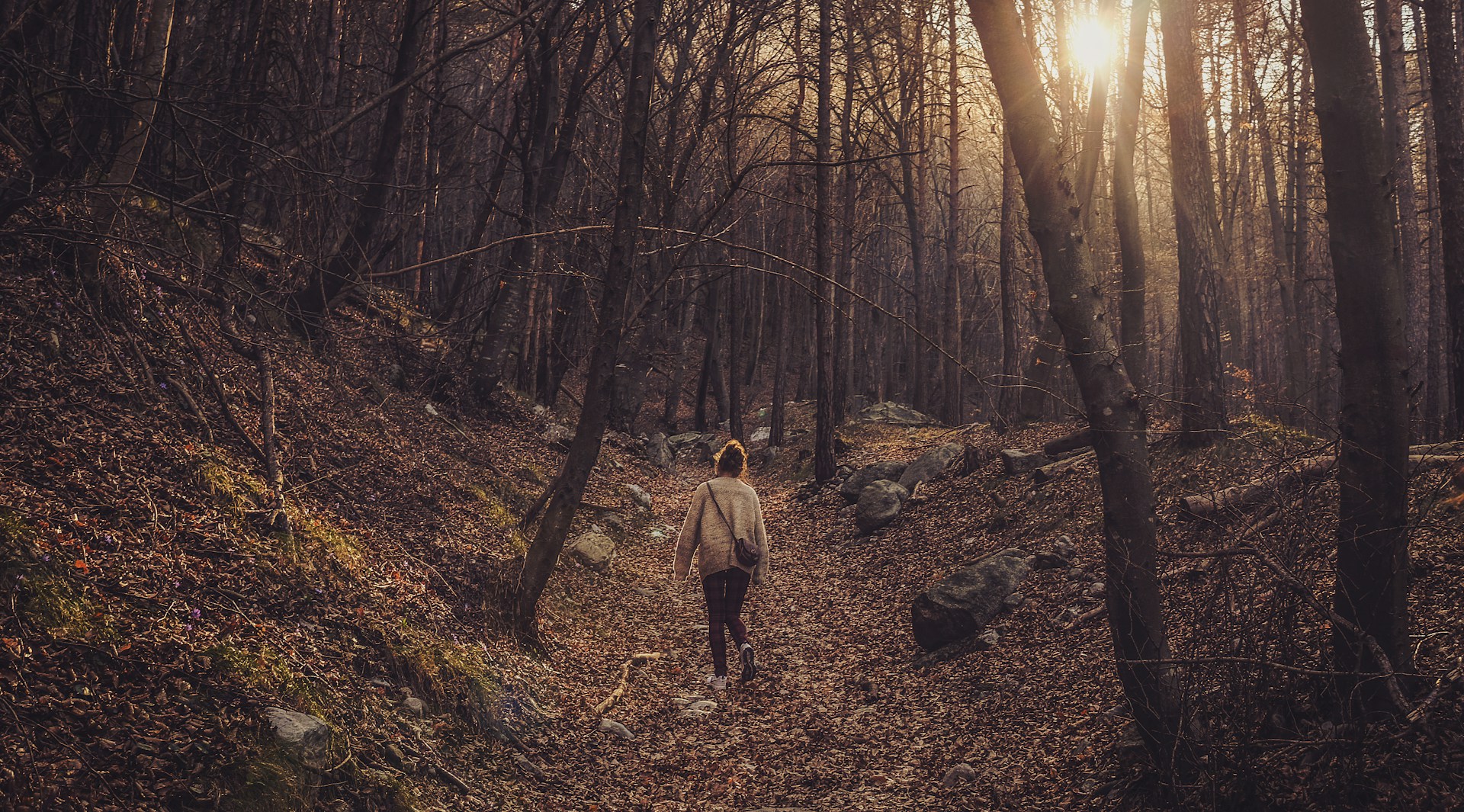 A woman walking through a forest in the afternoon