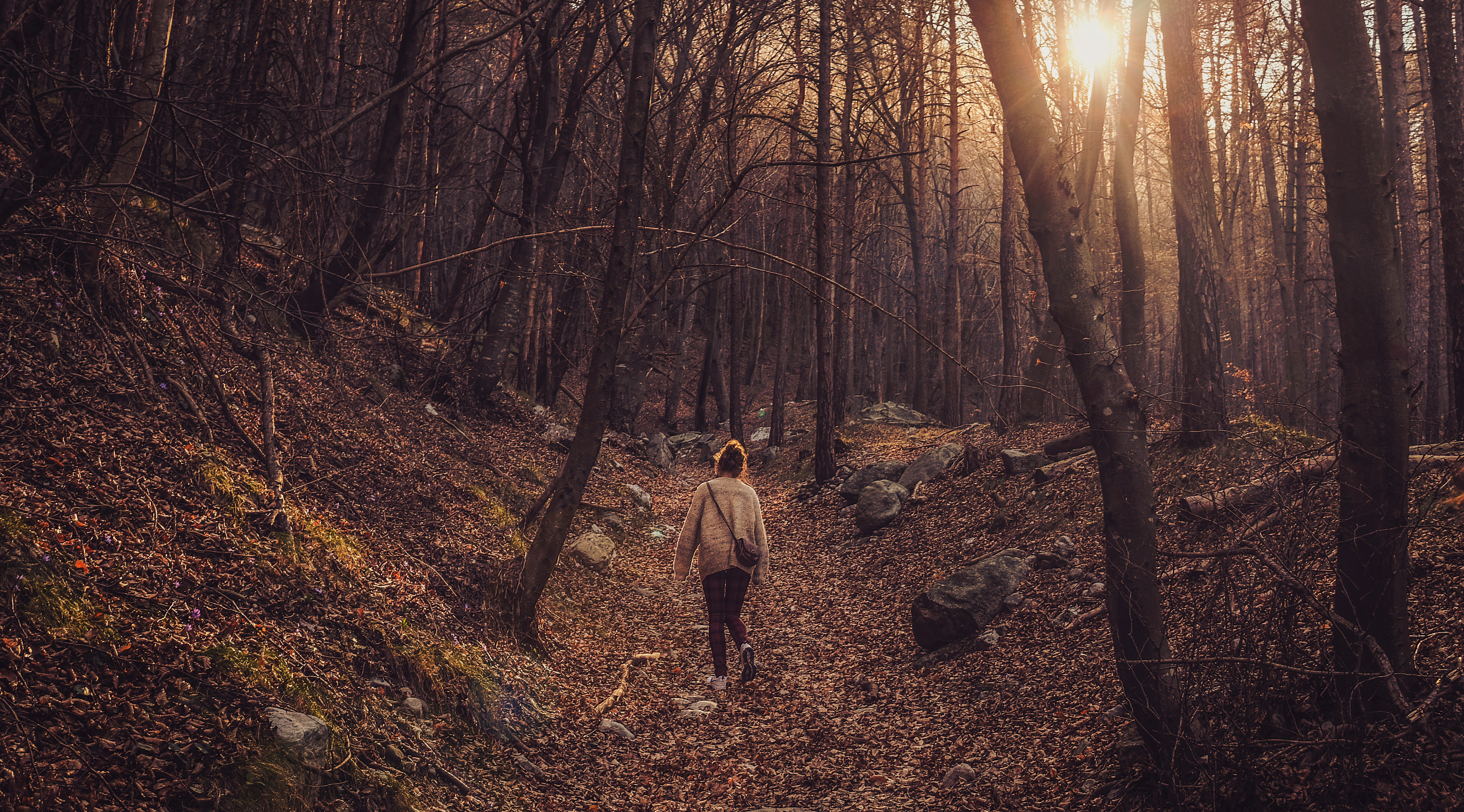 A woman walking through a forest in the afternoon