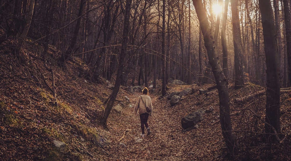 A woman walking through a forest in the afternoon