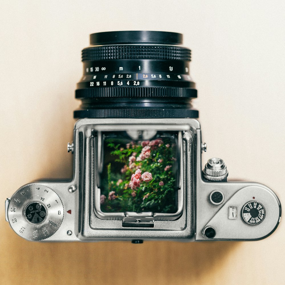 gray and black DSLR camera showing pink petaled flowers