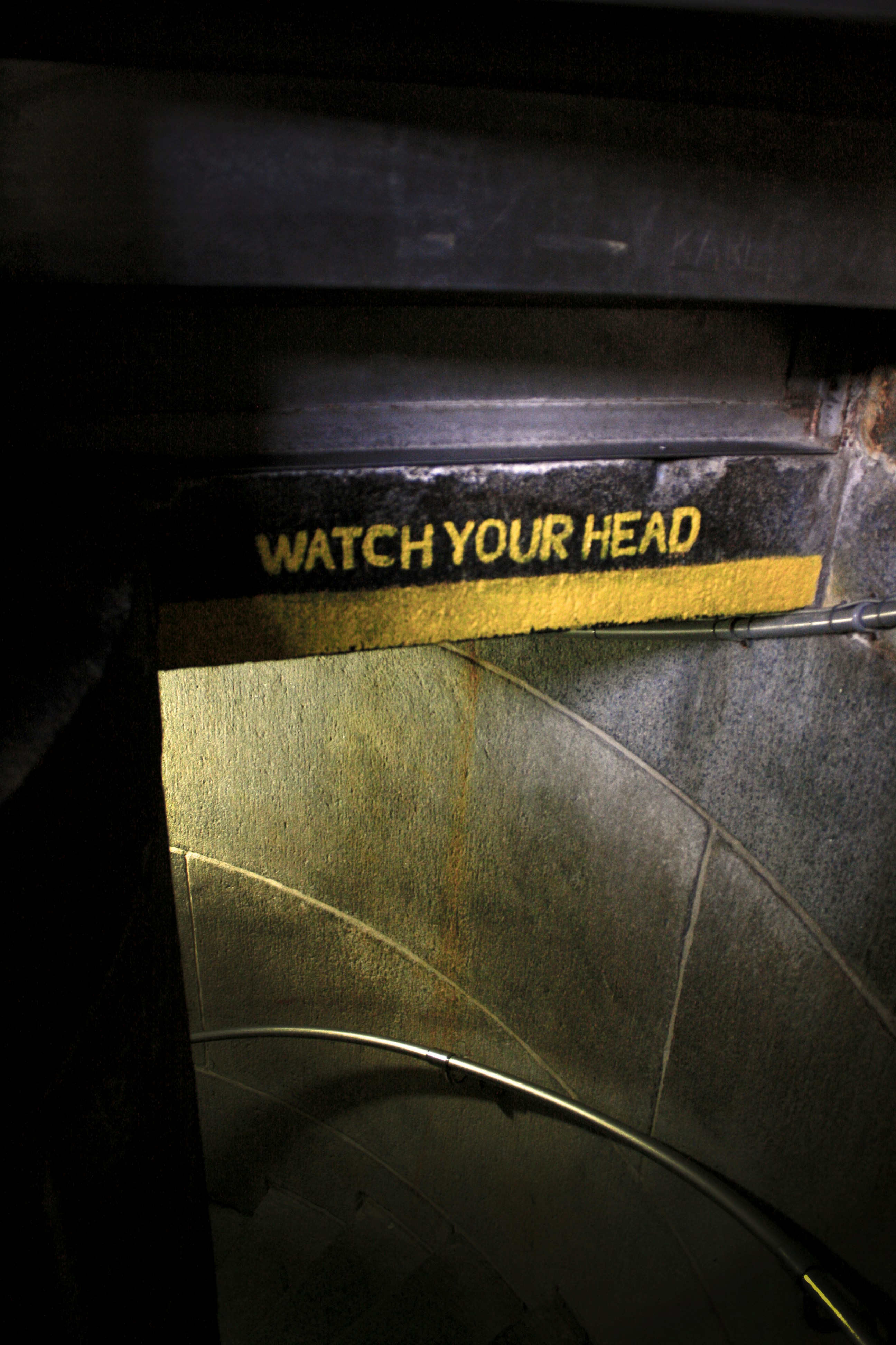 Free Unsplash photo from tiffany YOU