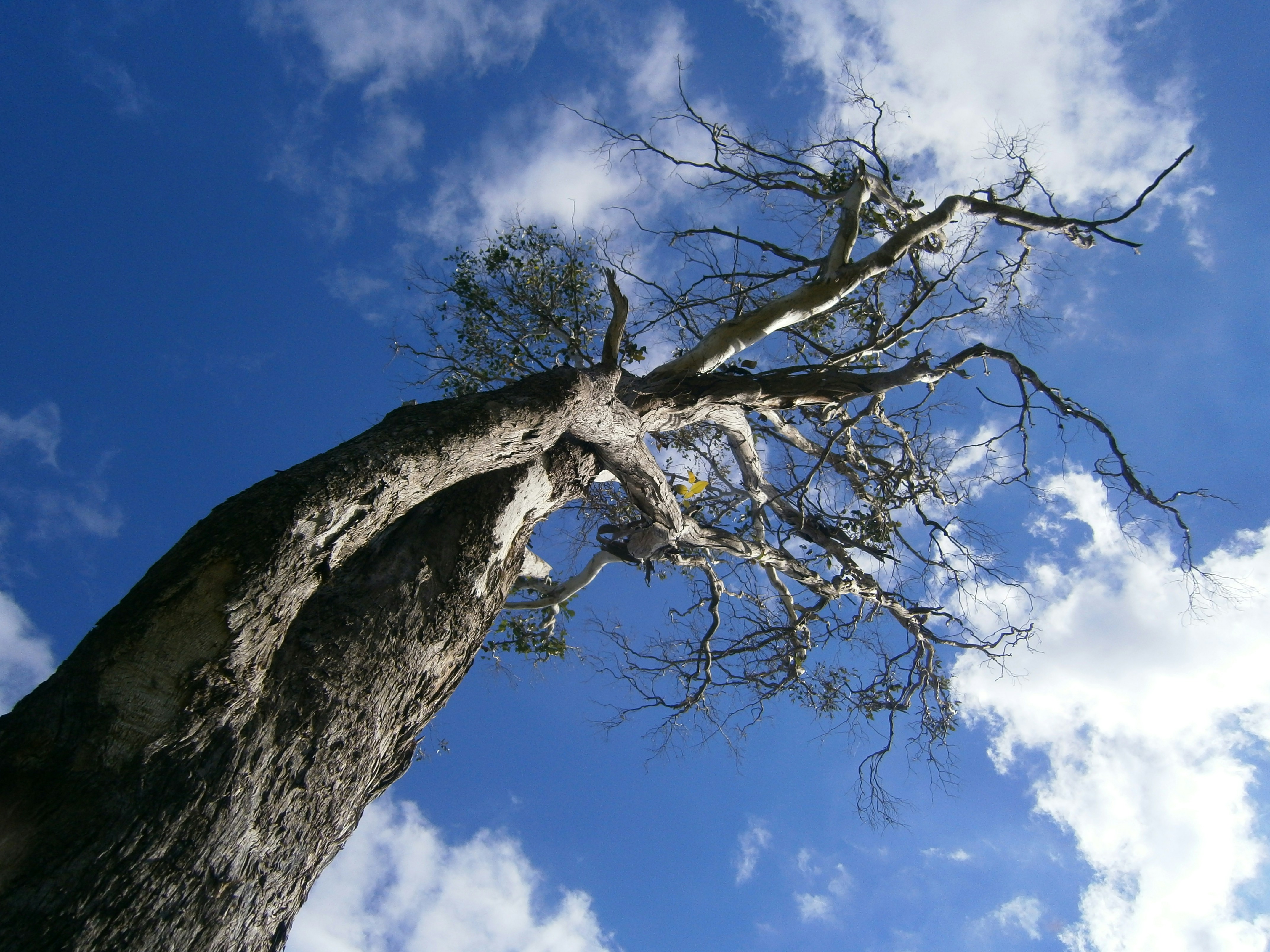 Free Unsplash photo from Mitchell Johnson