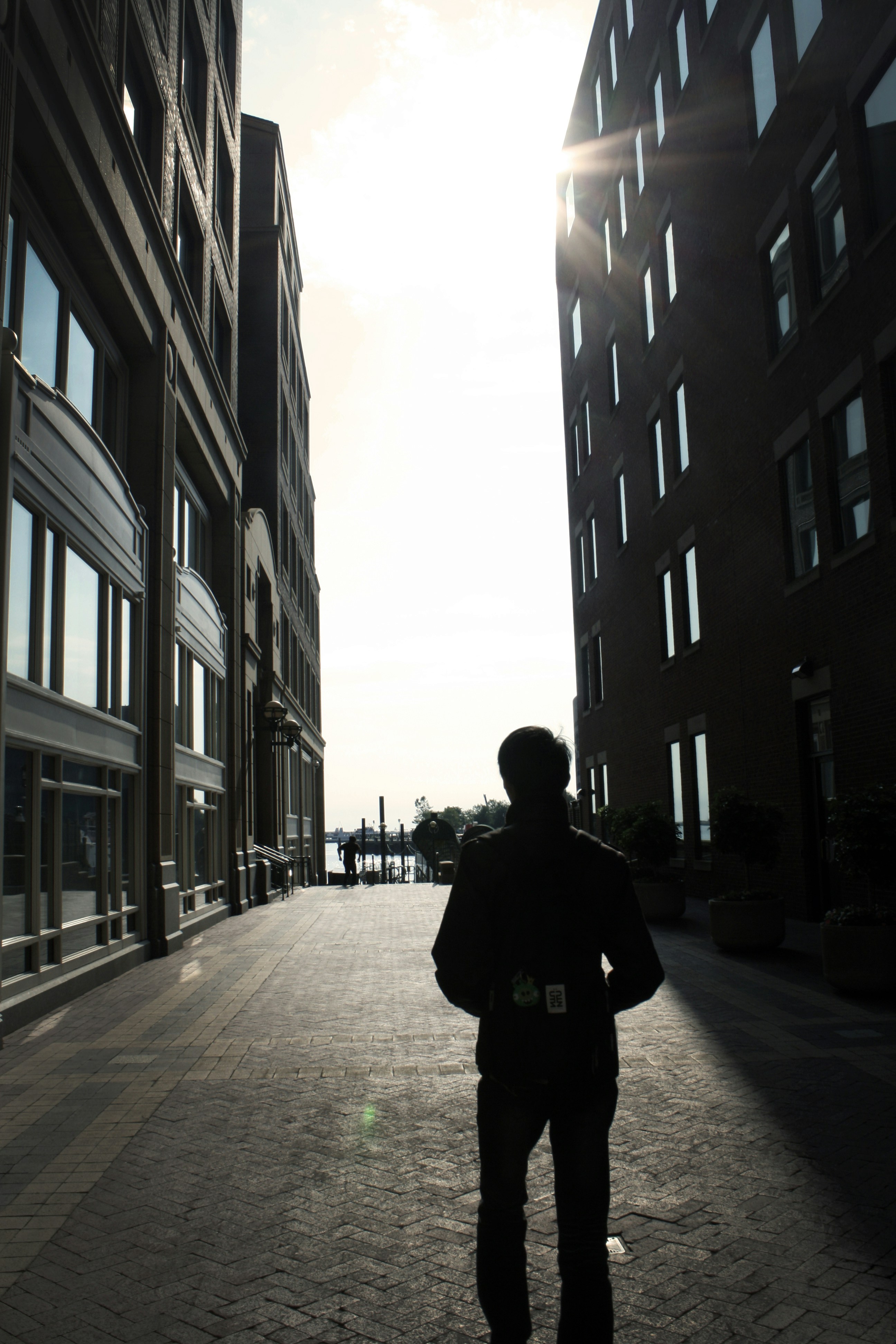 Free Unsplash photo from tiffany YOU