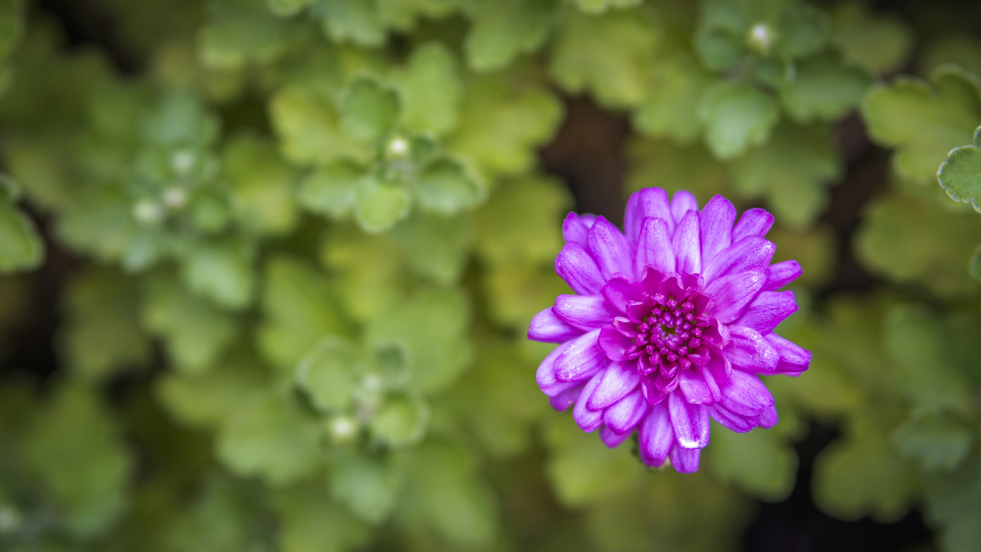 Free Unsplash photo from Joey Kyber