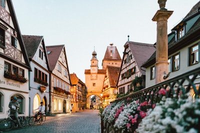 white and pink petaled flowers on metal fence near concrete houses and tower at daytime germany zoom background