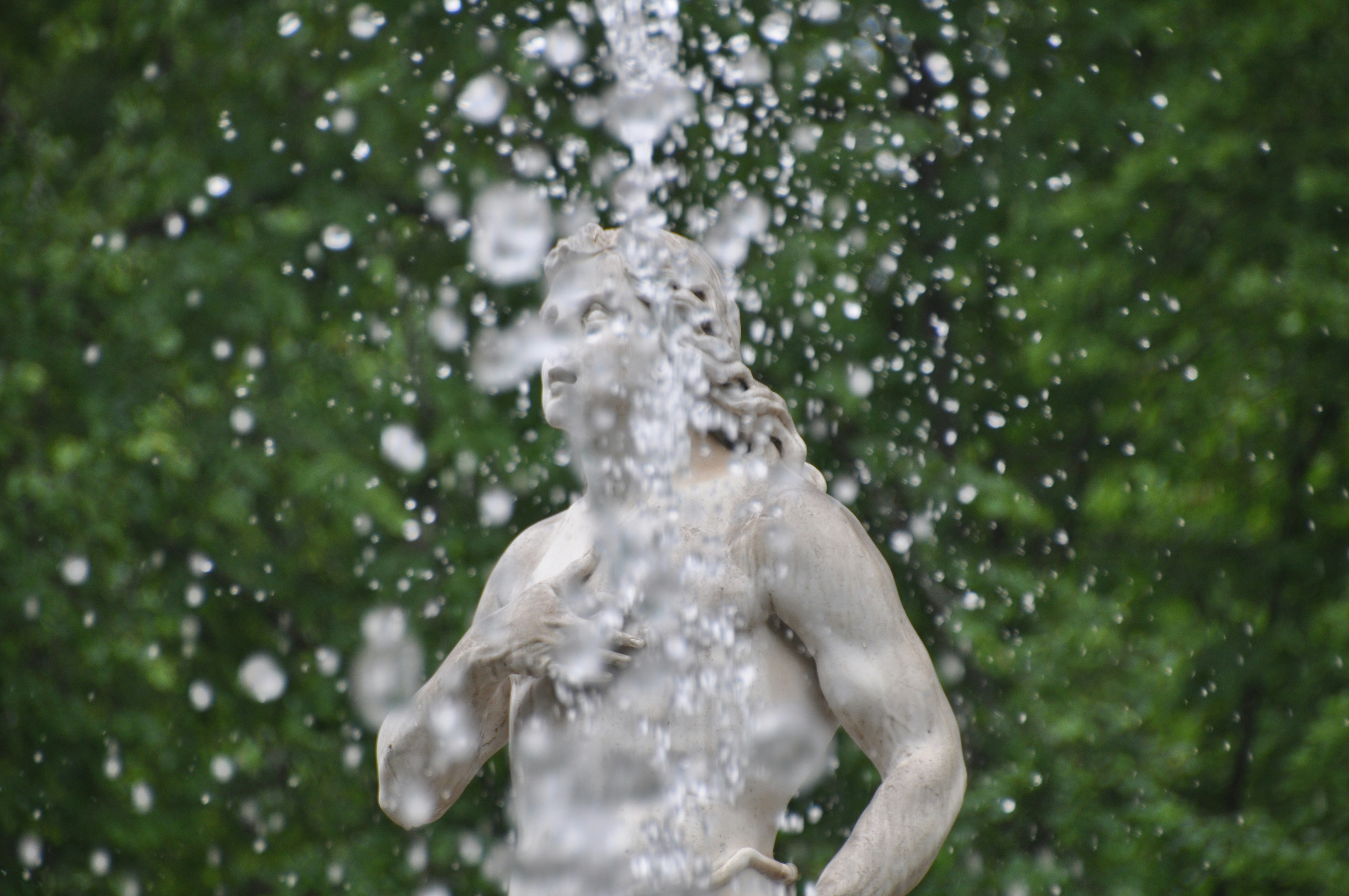 Free Unsplash photo from One Million