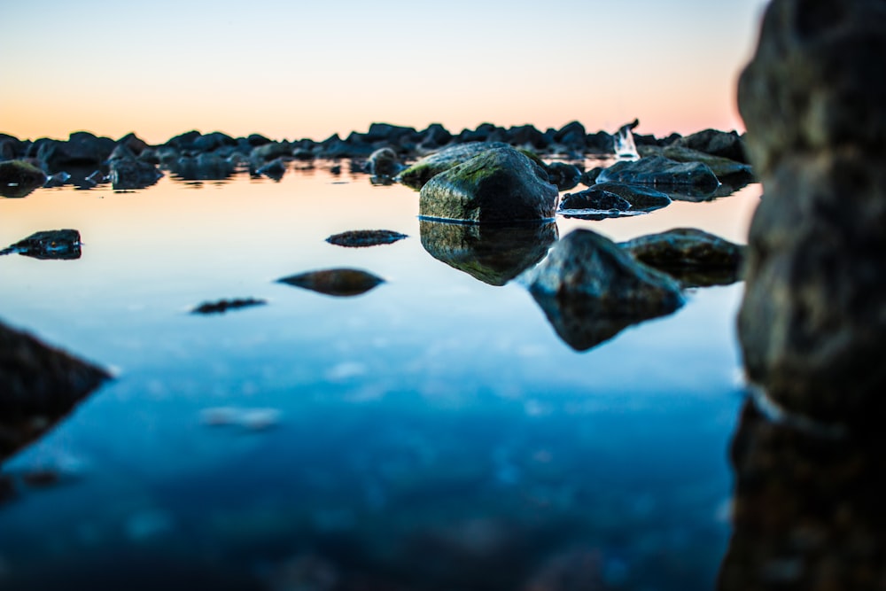 macro photography of rock formations surrounded by body of water