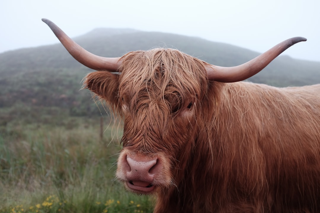 Highland photo spot Duirinish Glencoe