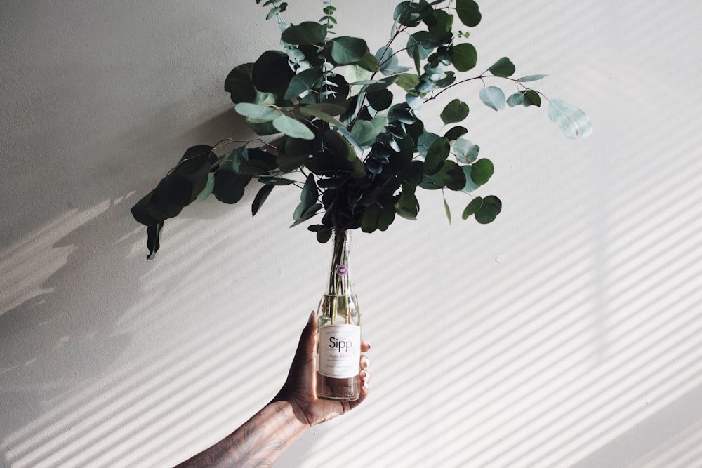 a person holding a bottle with a plant in it