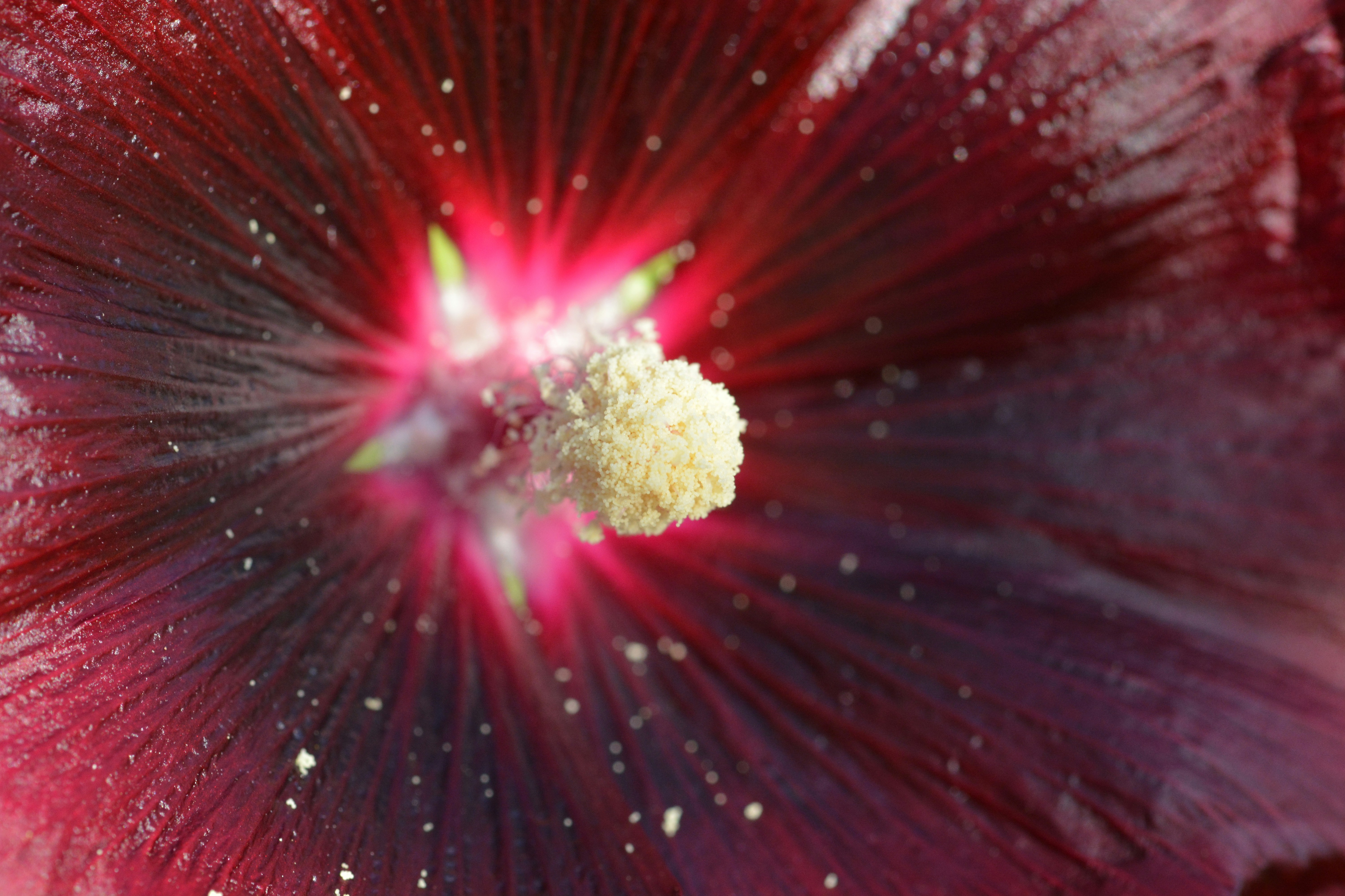 Free Unsplash photo from Joseph Buhagiar