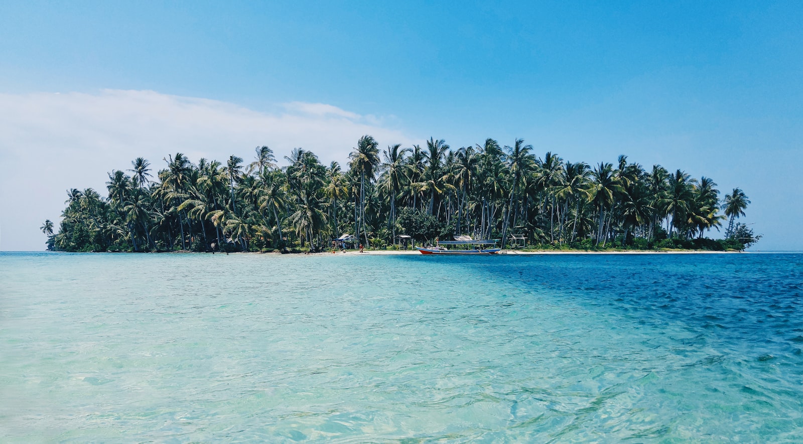 LG H818P sample photo. Coconut trees on island photography