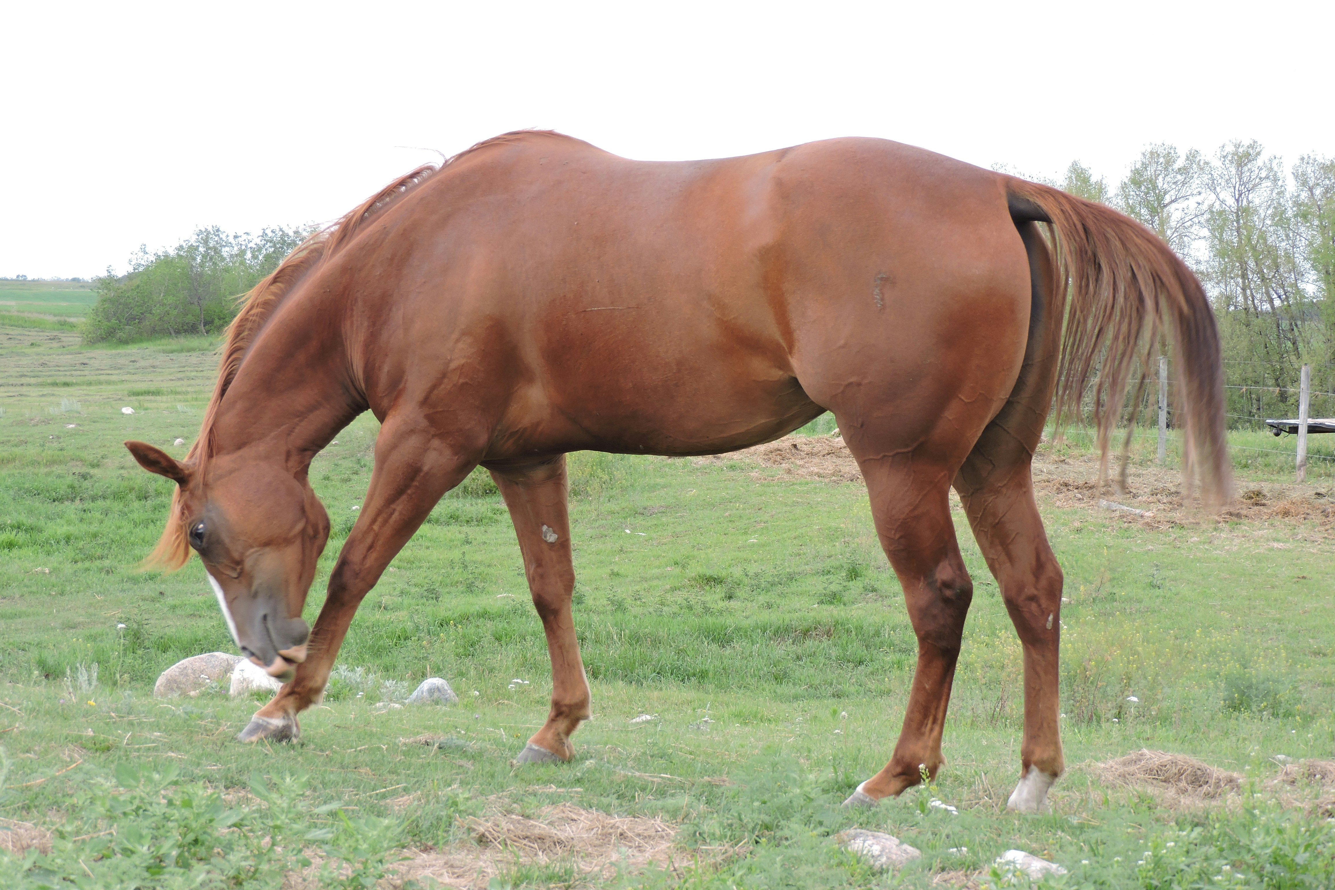 Free Unsplash photo from Lois Maeland